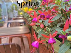 -BOCATA 西班牙餐厅(三里屯店)