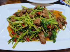 -呼吸森林·生态农庄农家乐私房菜