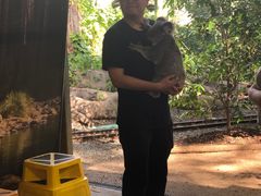 -可伦宾野生动物保护区