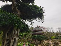 -南宁南湖公园