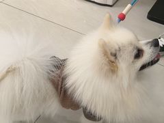 -美联众合动物医院·24h京西诊疗中心