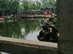 -MAP CHA普洱茶馆(翠湖店)