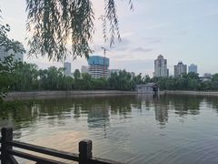 -迎泽公园