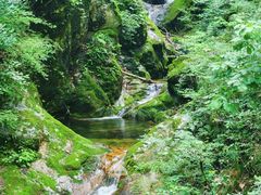 -牛背梁国家森林公园