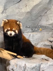 -Zoolung Zoolung动物主题公园(海信广场店)