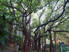 -广州市白云山风景名胜区