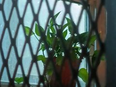 -比格比萨自助(国展店)