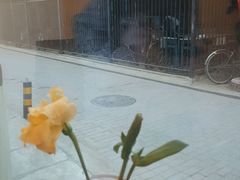 -威克特披萨汉堡