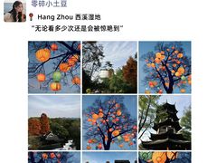 -西湖文化广场