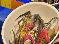 -辣螃铠盆盆蟹大排档(海昌店)