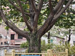 -陈李济中药博物馆