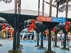 -海合安成都极地海洋公园