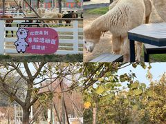 -盈香心动乐园