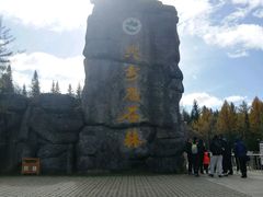 -汤旺河林海奇石景区