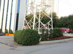 -南宁华美医疗美容医院