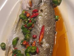 -绿茶餐厅(天津天河城店)