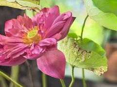 -临家闽南菜(翔安店)
