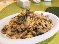 -胖大姐黄辣丁鱼庄(新津店)