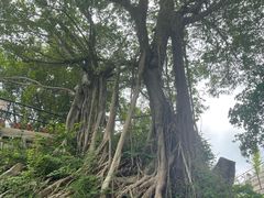 -胡里山炮台