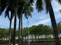 -三亚湾海居铂尔曼度假酒店