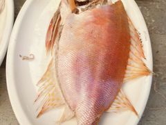 -吴记富苑(朝阳店)