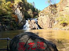 -茅兰沟国家森林公园