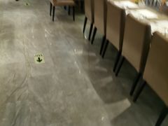 大堂-大渔铁板烧(花园道店)