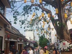 -正宗杨记普洱酸醋米线(总店)