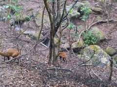 -普洱太阳河森林公园