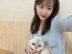 -鼓捣猫呢主题猫咖店