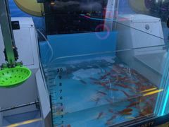 -汤姆熊欢乐世界(光启城店)