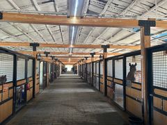 -北京群众马术培训基地