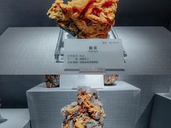 -湖南省地质博物馆
