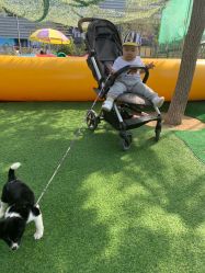 -萌宠亲子动物乐园(槐房万达店)