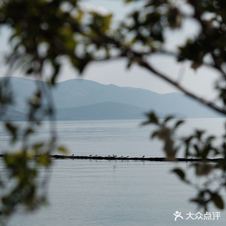 心波随水波荡漾｜幸福容波光粼粼