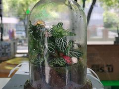 -ALPHA COFFEE阿尔法咖啡(虹莘路店)