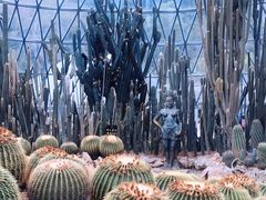 -深圳仙湖植物园