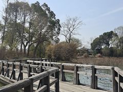-渤公岛生态公园