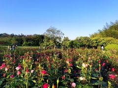 -宜兴龙背山森林公园