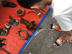 -苏州文庙(姑苏区)
