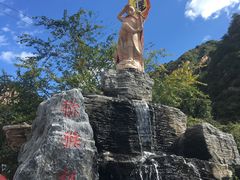 -大岭沟猕猴桃谷风景区