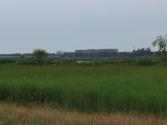 -绿堤公园