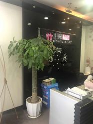 点击看大图 -威德钻石-克拉钻大本营(南京东路店)