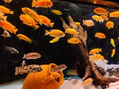 -海合安天津极地海洋公园