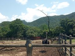 -西安秦岭野生动物园