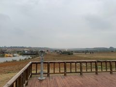 -空港花田景区