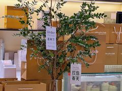 -chuchulab日式短蛋糕(粤海天地店)