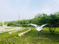 -野鸭湖国家湿地公园