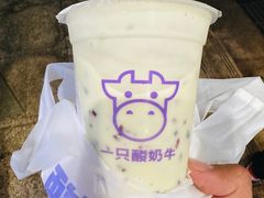 -一只酸奶牛(春熙路店)