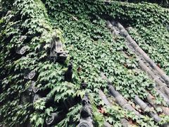 -青岛崂山太清宫